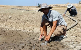 El Nino khả năng duy trì cường độ mạnh đến rất mạnh, mùa mưa sẽ kết thúc sớm ở miền Nam