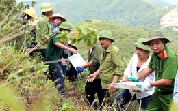 Hơn 1.200 người chuyền tay 3.000 tấm bê tông, đưa dòng chữ 'Bác Hồ sống mãi' trở lại núi Nhón
