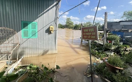 Nhiều khu vực ở Cần Thơ 'báo động đỏ' vì sạt lở
