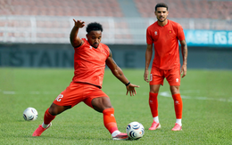 Mặt sân cỏ lá gừng của Malaysia: Tuyển Việt Nam 'không thích, nhưng quyết tâm'