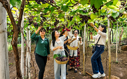 TP.HCM đẩy mạnh liên kết vùng, tìm sản phẩm mới cho du lịch