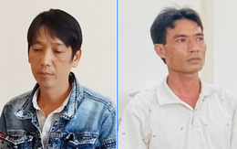 Thêm 2 'cò' bị khởi tố trong đường dây mua bán heo bệnh, chết ở Cần Thơ