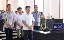 Hai cựu phó chủ tịch huyện bị phạt tù vì duyệt bán 183 nền nhà cụm dân cư vượt lũ sai đối tượng