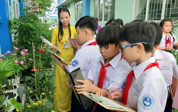 Sắp xếp trường học