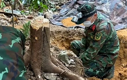 'Chiến dịch 500 ngày đêm' đón các anh trở về