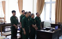 Tòa miễn án phí hình sự cho 6 bị cáo cựu chiến binh kêu oan trong vụ hủy hoại rừng