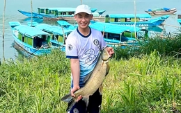 Loài cá ăn cỏ nuôi 5 năm mới bán ở Phong Nha