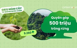 Cathay Life quyên góp 500 triệu đồng trồng 9.260 cây xanh