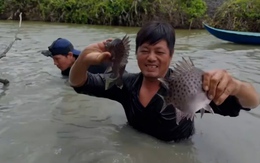 Về Cà Mau coi ném bùn, khuấy đục nước bắt đặc sản cá nâu