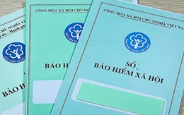 TP.HCM: 100 doanh nghiệp chậm đóng BHXH hơn 869 tỉ đồng, có nơi nợ hơn 10 năm