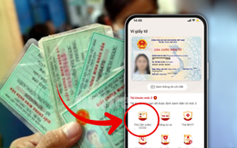 Tôi cần xem lại số CMND cũ để làm thủ tục thì xem ở đâu?