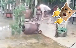 Sai một li đi toang... chậu kiểng đẹp