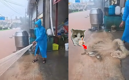 Người đàn ông 'bội thu' khi tung lưới xuống đường phố ngập nước