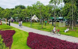 Khi đô thị hóa lấy đi không gian vận động của trẻ