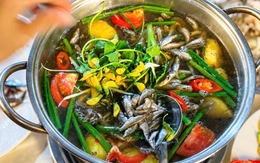 Đánh bắt cá linh non đầu mùa lũ, người nói không nên, người cho rằng cứ thuận theo tự nhiên