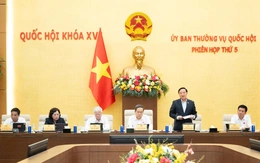 Đề xuất luật hóa cơ chế phát triển khu đô thị lấn biển từ 100.000 tỉ đồng vào dự Luật Phát triển đô thị