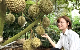 Đắk Lắk mong muốn tư nhân đầu tư phòng kiểm nghiệm sầu riêng