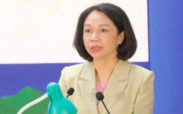 Sắp xếp trường học