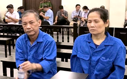 ‘Thiếu tướng rởm’ Hoa Hữu Long và vợ 'đại tá' lãnh án tù