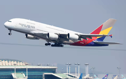 Hành khách kiện Asiana Airlines đòi 100 triệu USD sau khi bị Việt Nam từ chối nhập cảnh