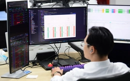 Thị trường càng chán, nhà đầu tư càng dễ mắc sai lầm này