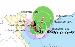 Bão số 4 đang gần bờ biển Quảng Ninh - Hải Phòng, có thể gây gió giật cấp 8-9, kèm mưa to đến rất to