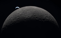 NASA phát hiện nấm, vi khuẩn Trái đất có thể tồn tại trên Mặt trăng