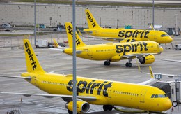 Tòa án Mỹ hoãn phê duyệt thương vụ Google mua dữ liệu của Spirit Airlines