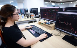 Quy mô 27 cổ phiếu được FTSE lựa chọn: Tổng vốn hóa hơn 5 triệu tỉ đồng, chiếm gần 60% toàn HOSE