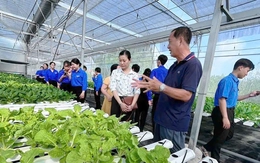 Hướng nghiệp nông nghiệp công nghệ cao, tín chấp vốn vay cùng bạn trẻ làm ăn