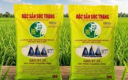 Quy trình sản xuất gạo ST25 của ông Cua ra sao mà bị làm nhái nhiều dữ vậy?