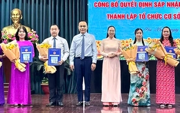 Sắp xếp trường học