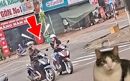 Hai phụ nữ ngang nhiên dừng xe nói chuyện giữa đường khiến ai thấy cũng lắc đầu