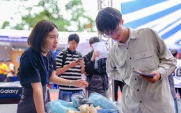 Ra trường, gửi CV miệt mài không ai gọi: Tìm việc sao khó đến vậy?