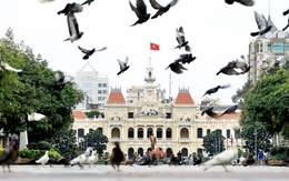 Ngắm nhìn những đàn bồ câu thân thiện giữa trung tâm TP.HCM