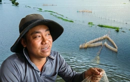 Xuất hiện trở lại nhiều loại cá hiếm mùa nước nổi