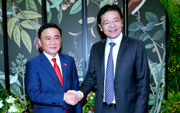 Việt Nam thúc đẩy đồng nghiên cứu, phát triển và sản xuất với Singapore
