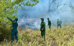2 ngày, 2 vụ cháy rừng tại Đắk Lắk, 65ha rừng bị thiệt hại