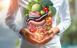 Những dấu hiệu cho thấy hệ tiêu hóa đang 'lên tiếng'