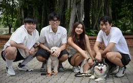 Ứng dụng hẹn hò giúp chó cưng tìm bạn