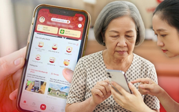 Hơn 360.000 người tại TP.HCM khi nào nhận được lương hưu, trợ cấp BHXH tháng 9-2026?