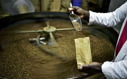 Lối đi riêng của Robusta Ấn Độ