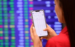 Đợt đầu vào rổ FTSE, 27 cổ phiếu Việt Nam có thể đón hơn 5.500 tỉ đồng