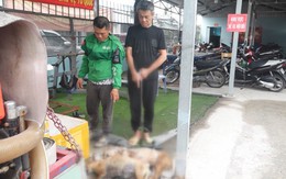 Công an TP.HCM bắt người trộm 5 con chó và người thu mua trong một buổi sáng