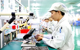 TP.HCM cần thêm những mắt xích nào để hút 'đại bàng' công nghệ?