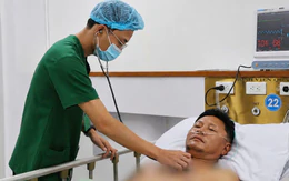 Bị ong vò vẽ đốt dẫn đến nhồi máu cơ tim cấp