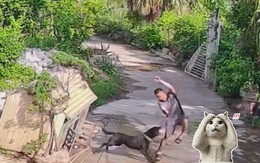 Thanh niên khiến người xem trầm trồ với skill né đòn cực mạnh