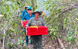 'Chiến dịch 500 ngày đêm' đón các anh trở về