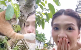 Cô chủ bất ngờ bị tát vì làm phiền... 'hoàng thượng'