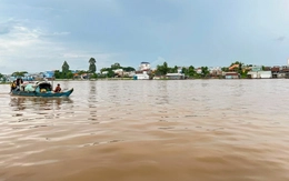 Đồng bằng sông Cửu Long 'đói' lũ, chuyên gia nói gì?